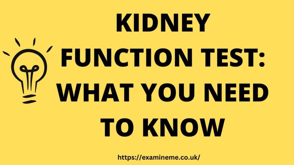 kidney function test uk