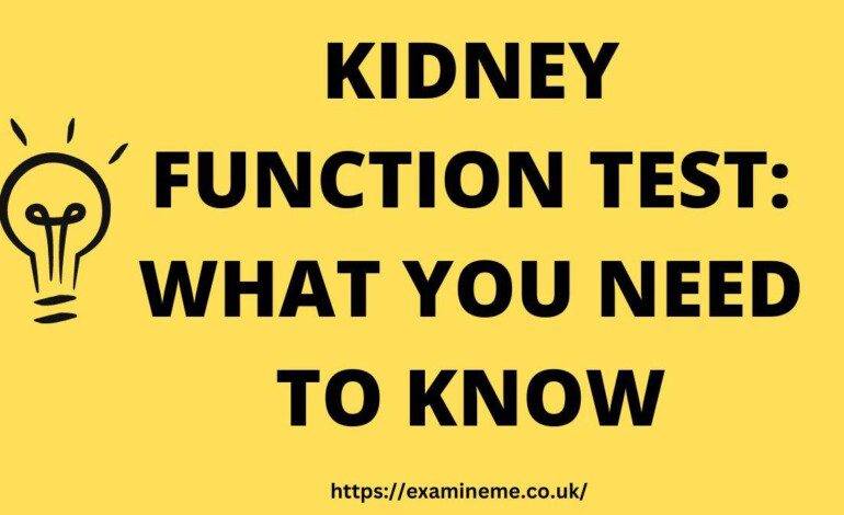 Kidney Function Test: What You Need to Know