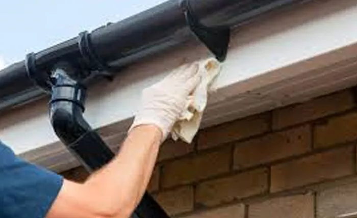 Gutter Cleaning Services