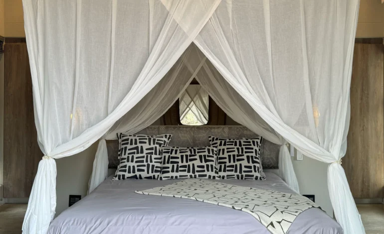 The Growing Demand for Comfortable and Insect-Free Outdoor Mosquito Nets